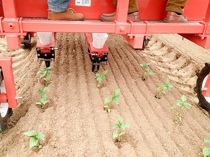 移栽機的結(jié)構(gòu)特點有哪些？